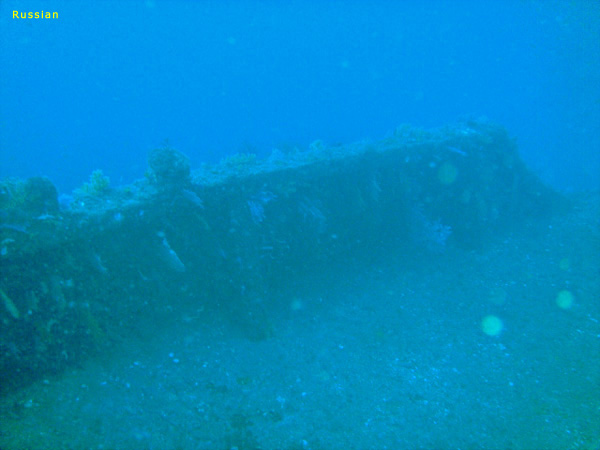 D̕i i4jbMCb2008/10/12