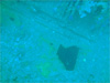 D̕i i3jbMCb2008/10/11