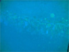 D̕i i5jbMCb2008/10/11