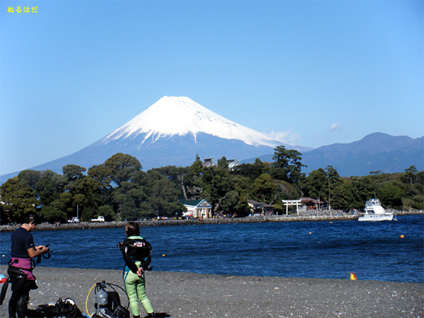xmRb吣b2008/11/30