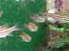 RXWCV`b吣Ń_CrOb2009/03/15