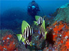 eO_C i2jb_qŃ_CrOb2009/03/21