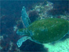 AIE~K i2jb_qŃ_CrOb2009/03/22